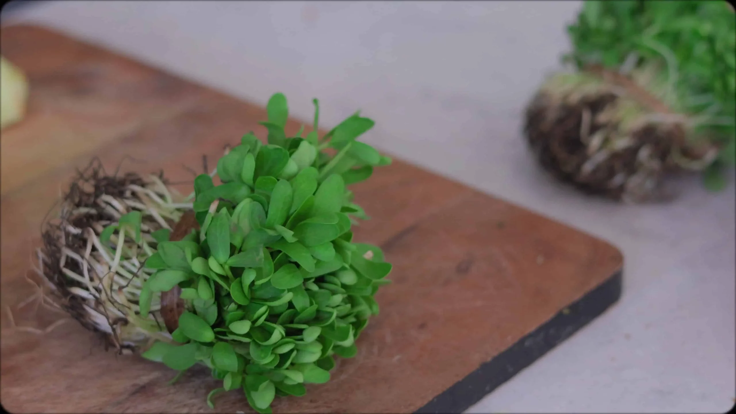 bunch of methi leaves for making methi dal