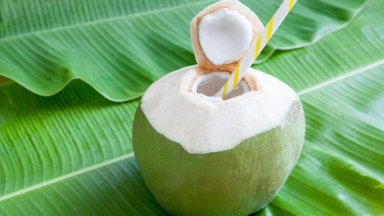 Coconut water with a straw resting on a banana leaf, a refreshing tropical drink.